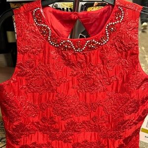 NWT RARE EDITIONS -ELEGANT LACE HOLIDAY DRESS SIZE 14